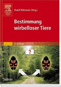 Bestimmung wirbelloser Tiere - Bährmann, Rudolf