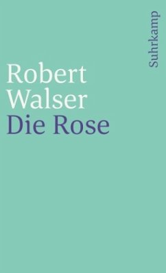 Sämtliche Werke in zwanzig Bänden - Walser, Robert