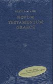 Novum Testamentum Graece, Großdruck
