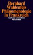 Phänomenologie in Frankreich - Bild 1