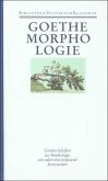 Schriften zur Morphologie / Sämtliche Werke, Briefe, Tagebücher und Gespräche 1. Abteilung: Sämtliche Werke, Bd.24 Schriften zur Morphologie / Sämtliche Werke, Briefe, Tagebücher und Gespräche 1. Abteilung: Sämtliche Werke, Bd.24