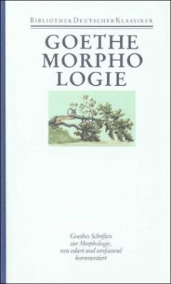 Cover Schriften zur Morphologie / Sämtliche Werke, Briefe, Tagebücher und Gespräche 1. Abteilung: Sämtliche Werke, Bd.24