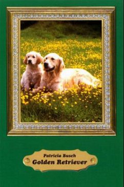 Cover Golden Retriever