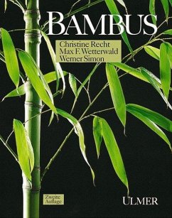 Bambus - Simon, Werner;Wetterwald, Max-Felix;Recht, Christine