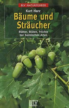Cover Bäume und Sträucher