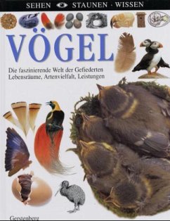 Cover Vögel