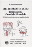 Der Akupunktur-Punkt Der Akupunktur-Punkt