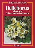 Helleborus