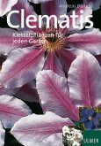 Clematis