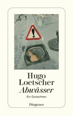 Abwässer - Loetscher, Hugo