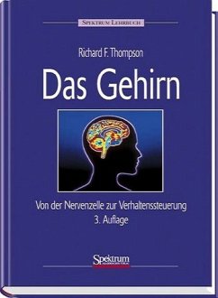 Cover Das Gehirn