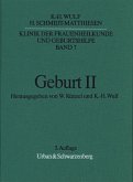 Geburt / Klinik der Frauenheilkunde und Geburtshilfe (KFG) Bd.7, Tl.2