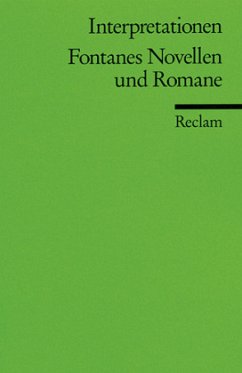 Fontanes Novellen und Romane - Grawe, Christian (Hrsg.)