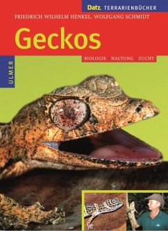 Geckos - Henkel, Friedrich Wilhelm;Schmidt, Wolfgang