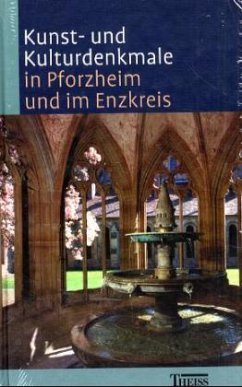 Kunst- und Kulturdenkmale in Pforzheim und im Enzkreis - Diruf, Hermann; Timm, Christoph