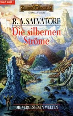 Die silbernen Ströme / Die vergessenen Welten Bd.3 - Salvatore, Robert A.