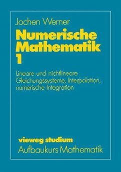 Numerische Mathematik - Werner, Jochen