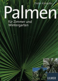 Palmen - Kämpfer, Dieter