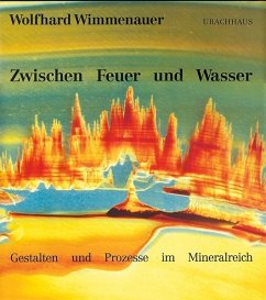 Zwischen Feuer und Wasser - Wimmenauer, Wolfhard