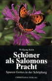 Schöner als Salomons Pracht Schöner als Salomons Pracht