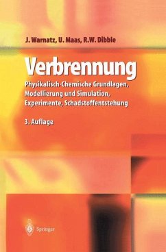 Verbrennung - Warnatz, J.; Dibble, R. W.; Maas, U.