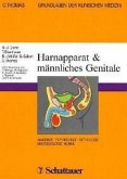 Harnapparat, Männliche Genitale / Grundlagen der klinischen Medizin, in 11 Bdn. Bd.6