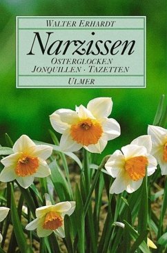 Narzissen - Erhardt, Walter