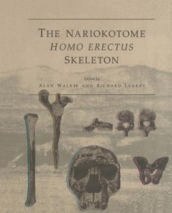 The Nariokotome Homo Erectus Skeleton - Walker