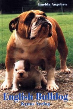 English Bulldog - Angehrn, Imelda