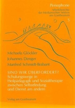 Sind wir überfordert? - Glöckler, Michaela;Schmidt-Brabant, Manfred;Denger, Johannes