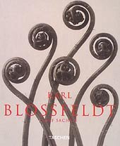 Cover Karl Blossfeldt, Photographien
