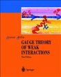 Gauge Theory of Weak Interactions - Bild 1