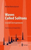 Waves Called Solitons