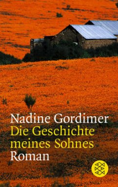 Die Geschichte meines Sohnes - Gordimer, Nadine