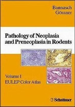 Cover Pathology of Neoplasia and Preneoplasia in Rodents