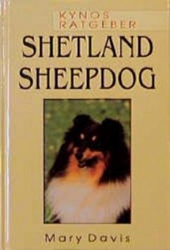 Shetland Sheepdog - Davis, Mary