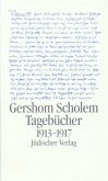 1913-1917 / Tagebücher 1