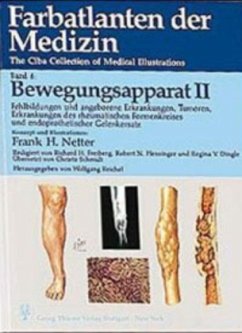 Bewegungsapparat / Farbatlanten der Medizin Bd.8, Tl.2 - Netter, Frank H.