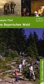 Im Bayerischen Wald / Mit Kindern unterwegs Im Bayerischen Wald / Mit Kindern unterwegs