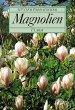Magnolien - Bild 1