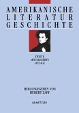 Amerikanische Literaturgeschichte