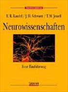 Neurowissenschaften - Kandel, Eric / Schwartz, James / Jessell, Thomas