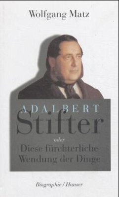 Adalbert Stifter oder Diese fürchterliche Wendung der Dinge - Matz, Wolfgang