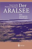 Der Aralsee