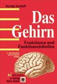 Das Gehirn Das Gehirn
