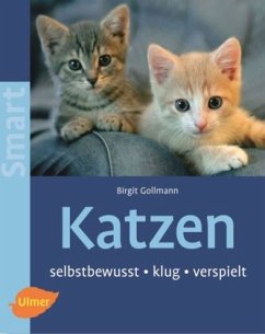 Katzen - Gollmann, Birgit