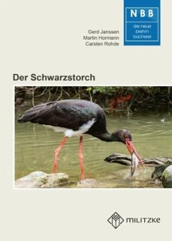 Der Schwarzstorch - Janssen, Gerd;Hormann, Martin;Rohde, Carsten