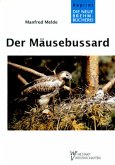 Der Mäusebussard