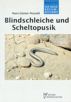 Blindschleiche und Scheltopusik - Petzold, Hans G