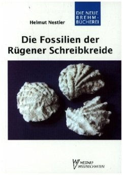 Die Fossilien der Rügener Schreibkreide - Nestler, Helmut